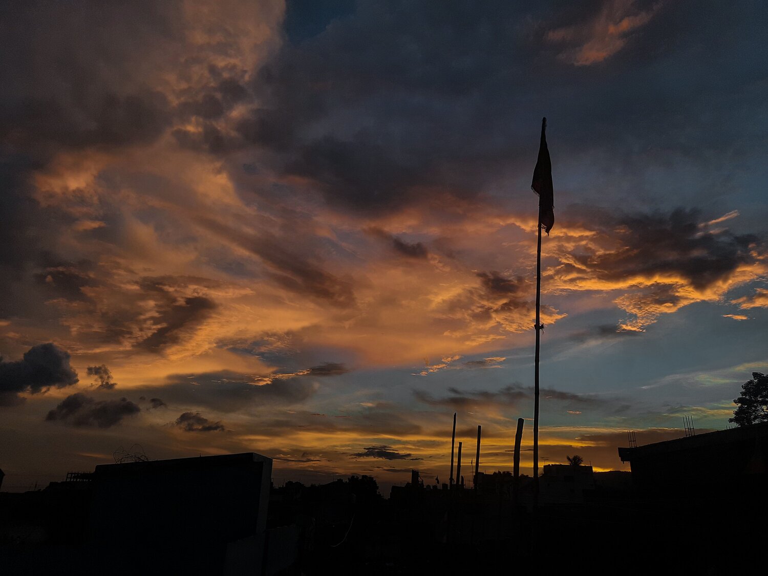 Photo #7784437