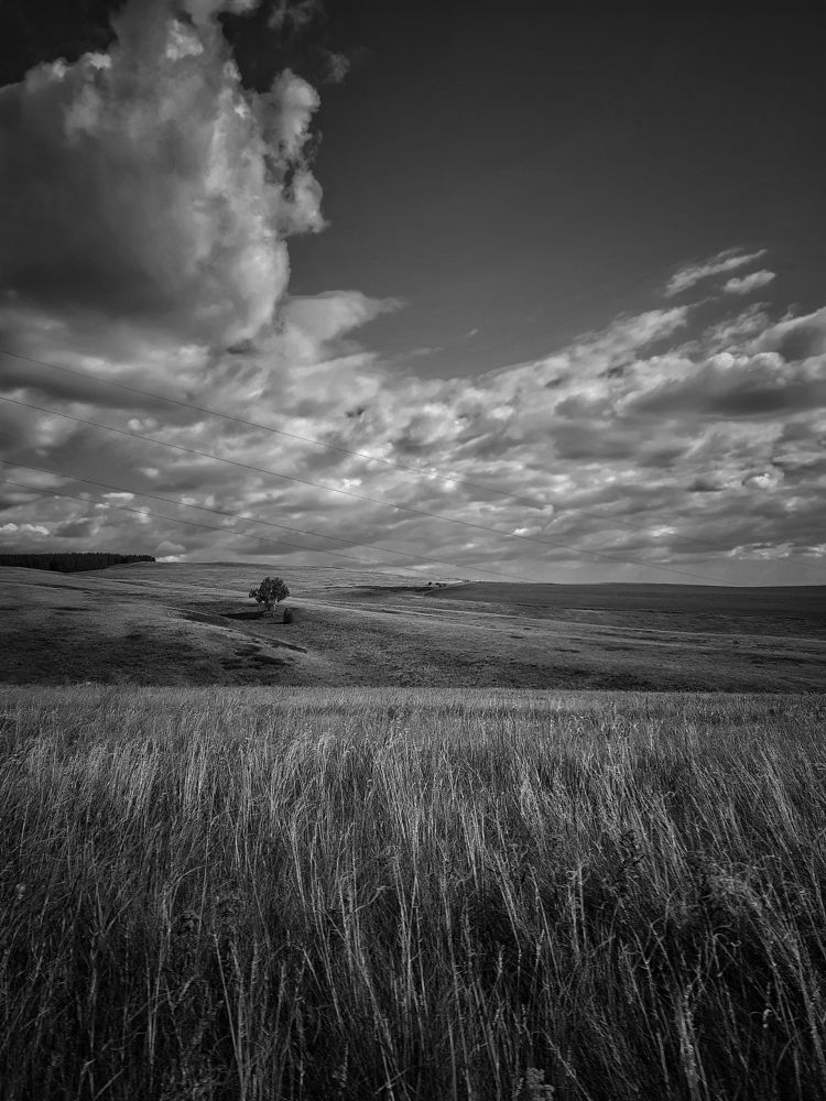 Photograph by Ксения Олина