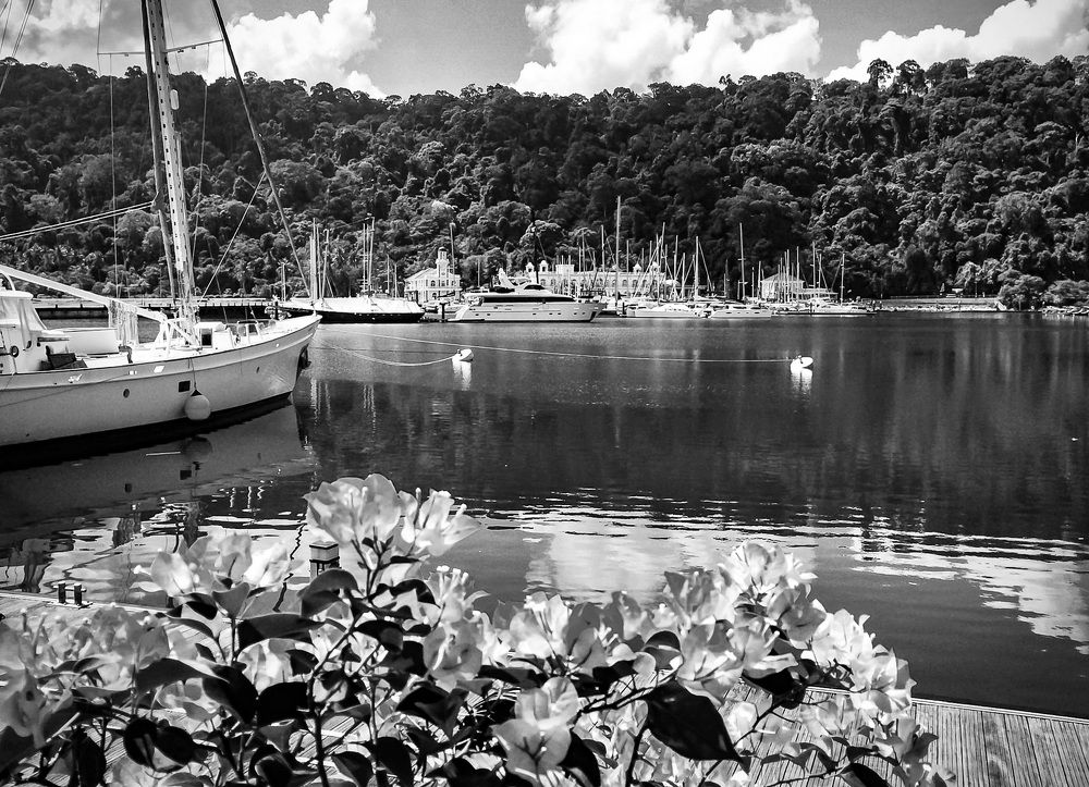 Photograph by Christine ECHEVET-ADAM de VILLIERS