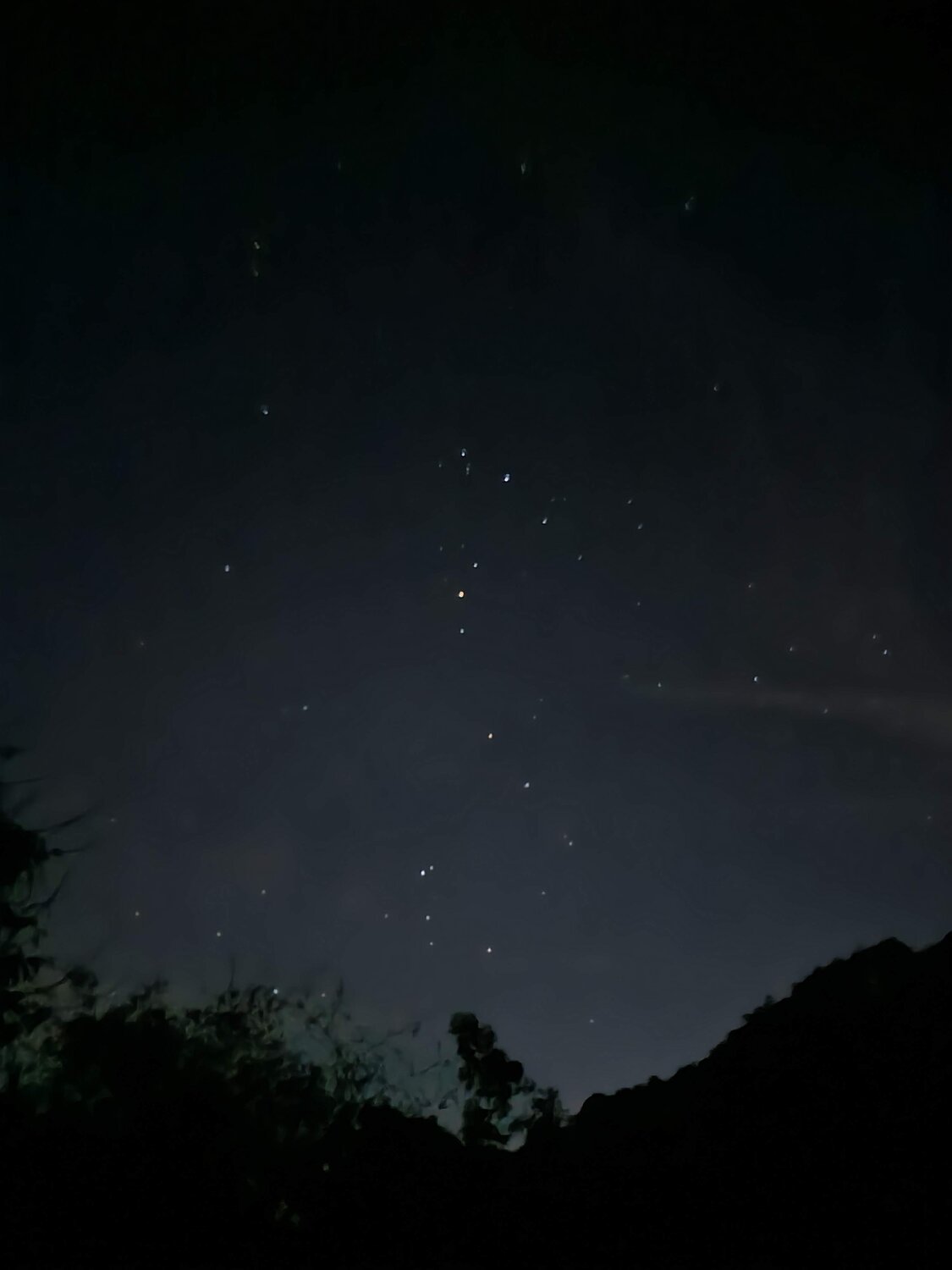 Photo #7784529