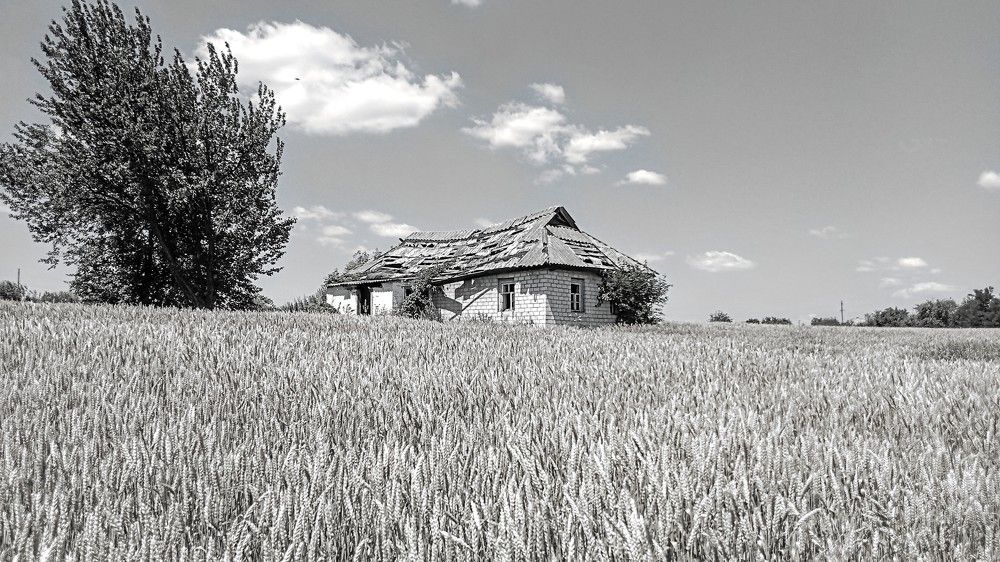 Photograph by Денис Лащ