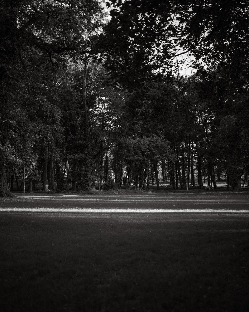 Photograph by Ольга Бессмертная