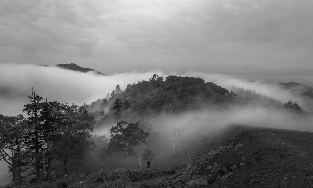 Молочные облака