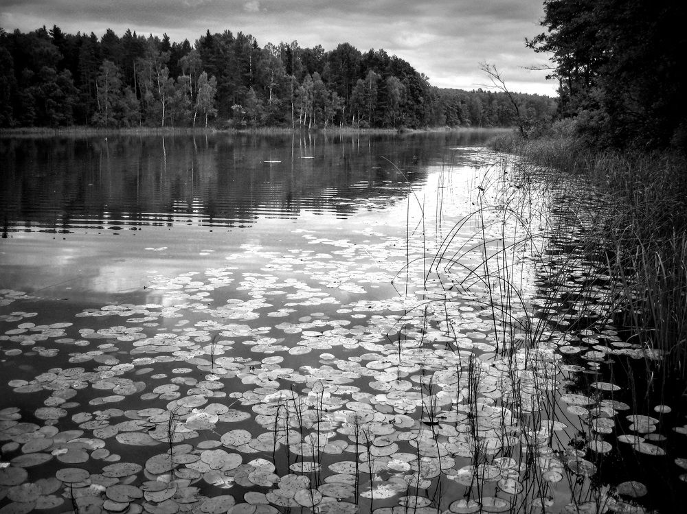 Photograph by Инесса Громова