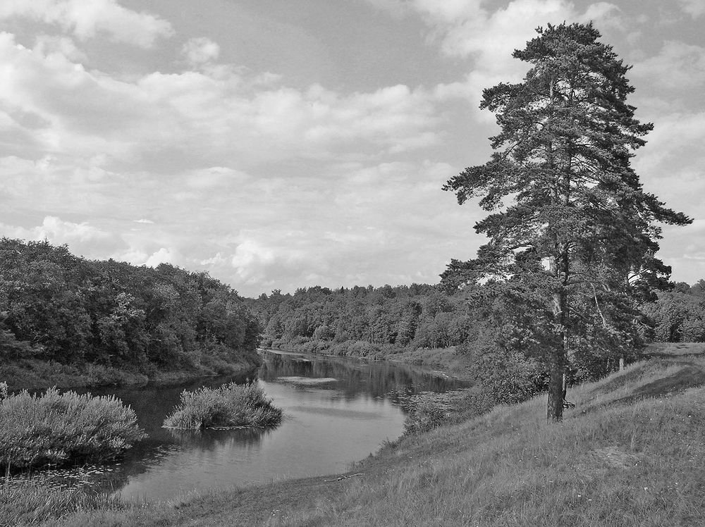 Photograph by Алексей