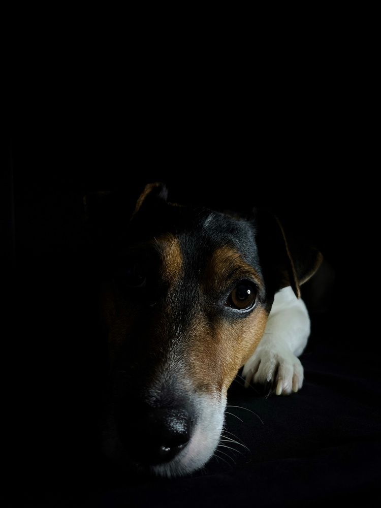 Фотография автора Ирина Мосько