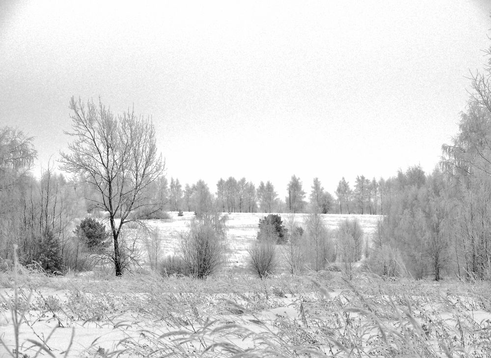 Фотография автора Клавдия Васильева