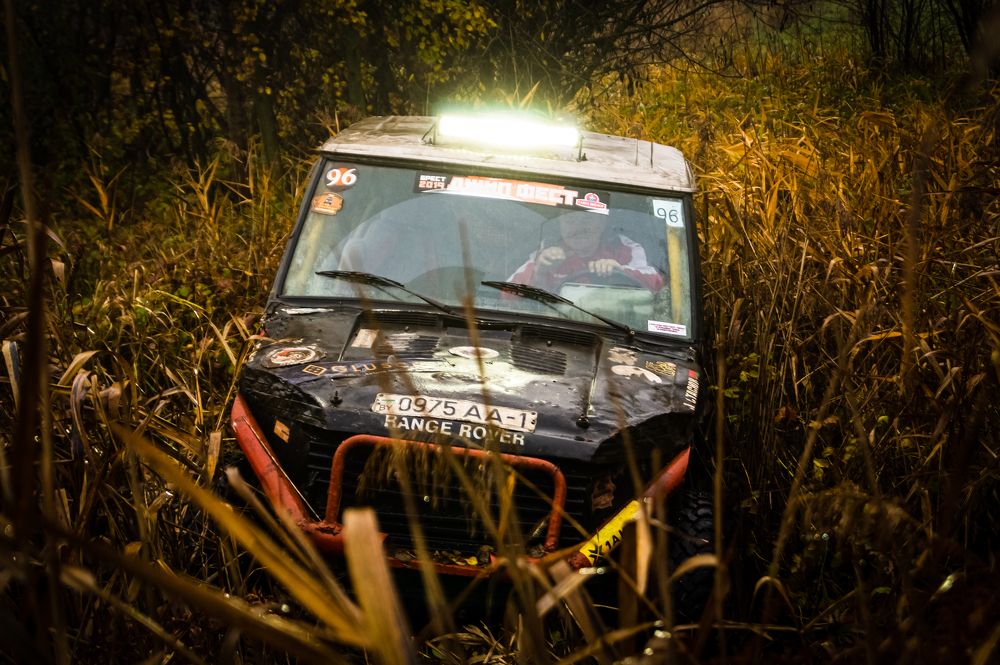 Фотография автора Natallia Kirpichova