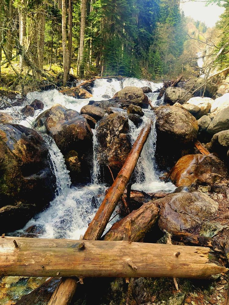 Photograph by Владимир Колатухин