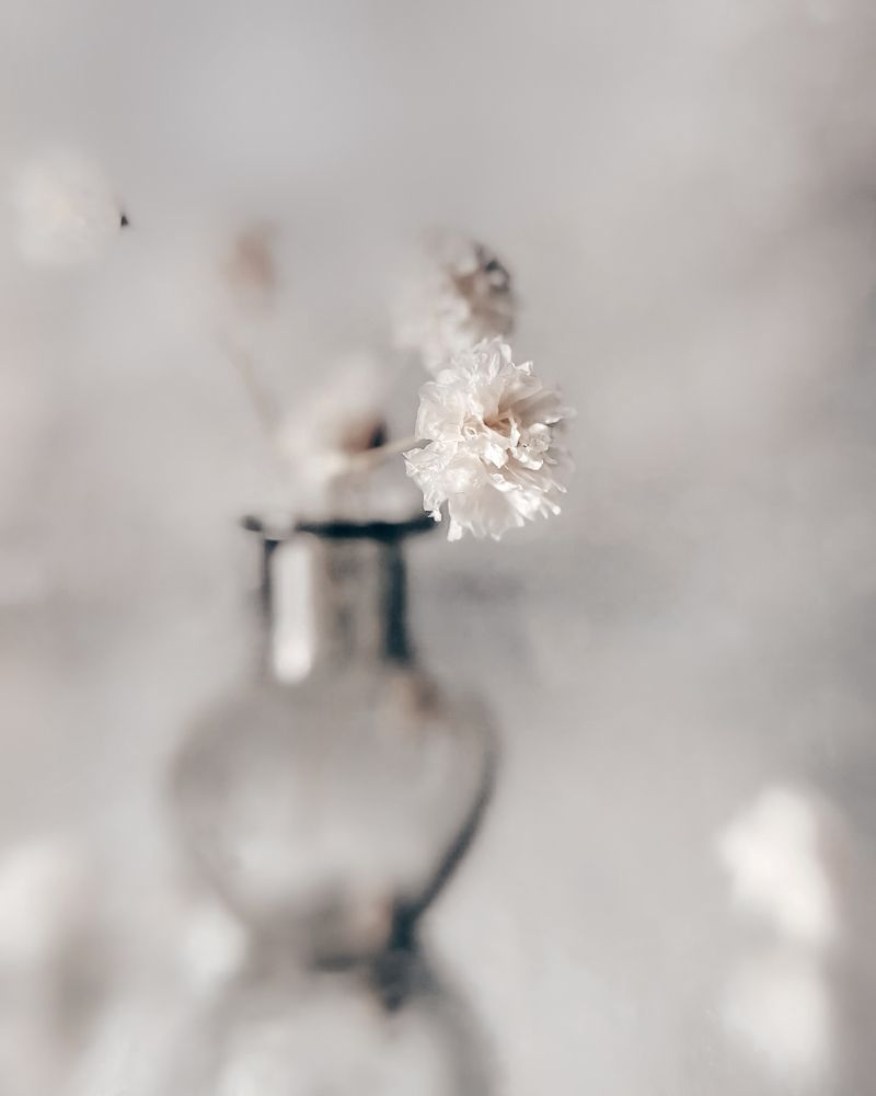 Photograph by Оксана Маракушина