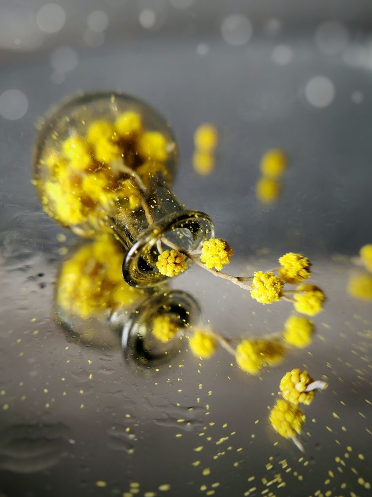 Photograph by Оксана Маракушина