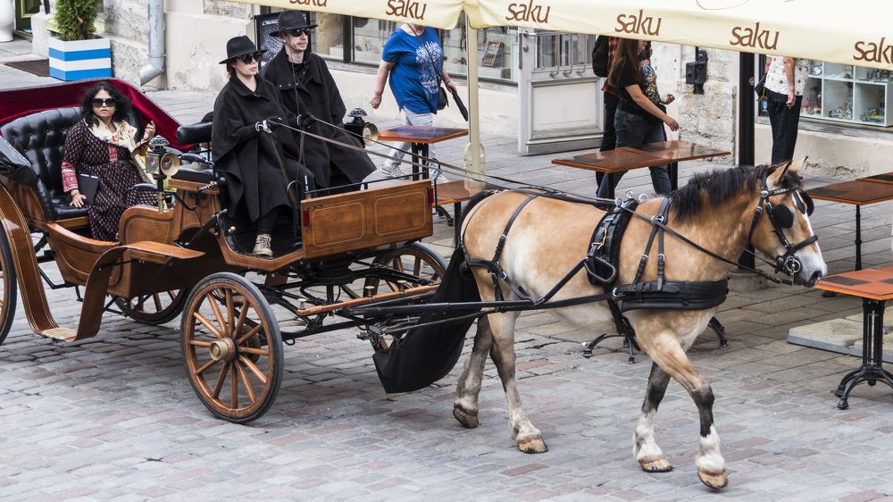 Photograph by Igor Glazistov