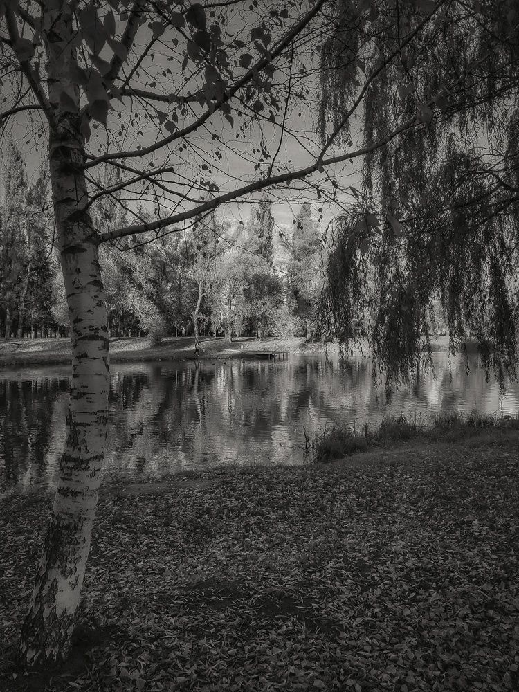 Photograph by Александр Панин