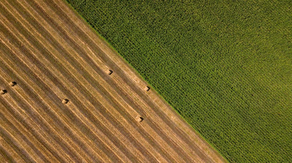 Photograph by Антон Литвинцев