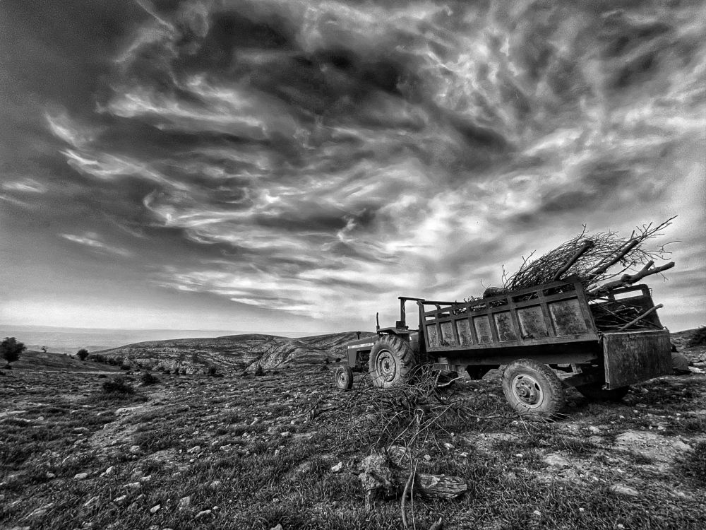 Фотография автора Hamidreza Saedi