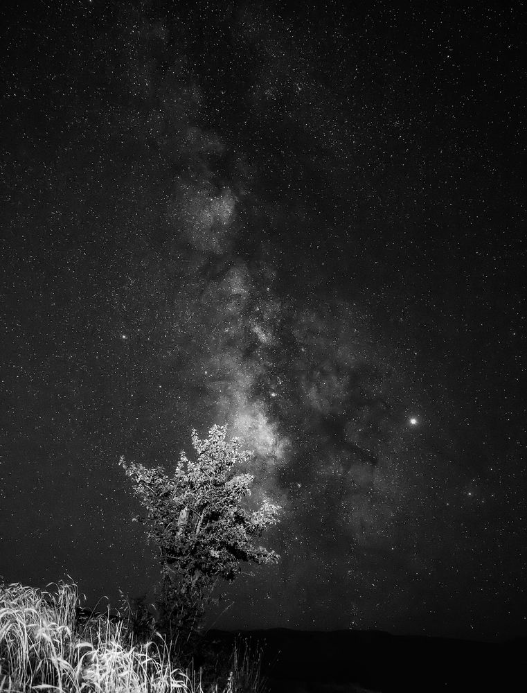 Фотография автора Hamidreza Saedi