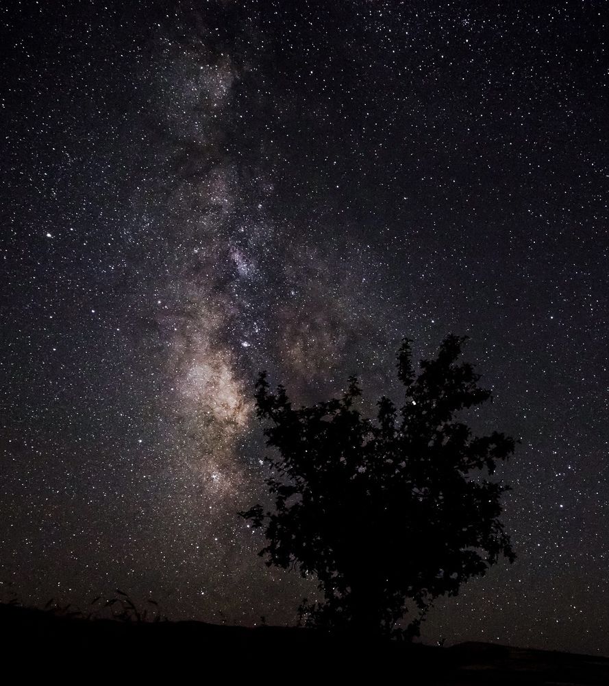 Фотография автора Hamidreza Saedi