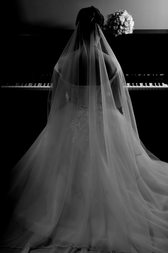 Фотография автора Hamidreza Saedi