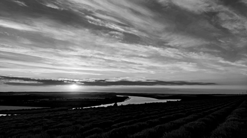 Photograph by Евгения Бузайжи