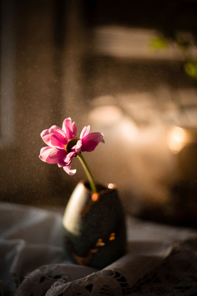 Photograph by Tatiana Kurilas