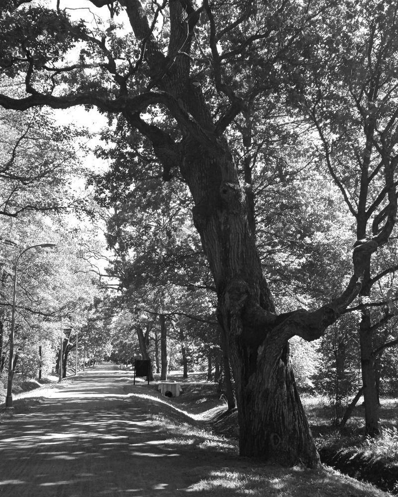 Photograph by Наталия Викторовна