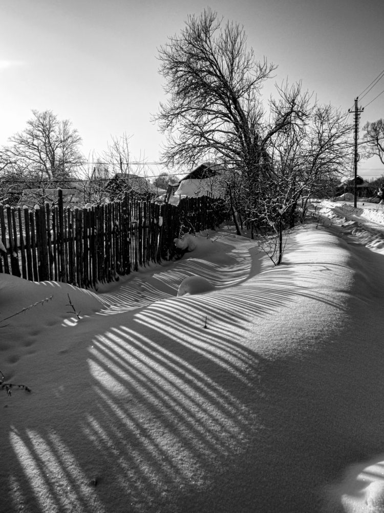 Photograph by Владимир Перепечаев