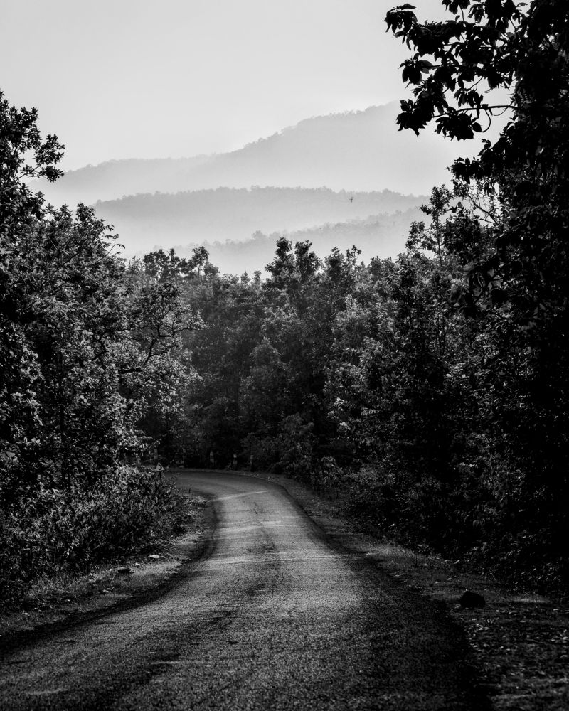 To walk  in nature  Is to witness  a thousand  Miracles