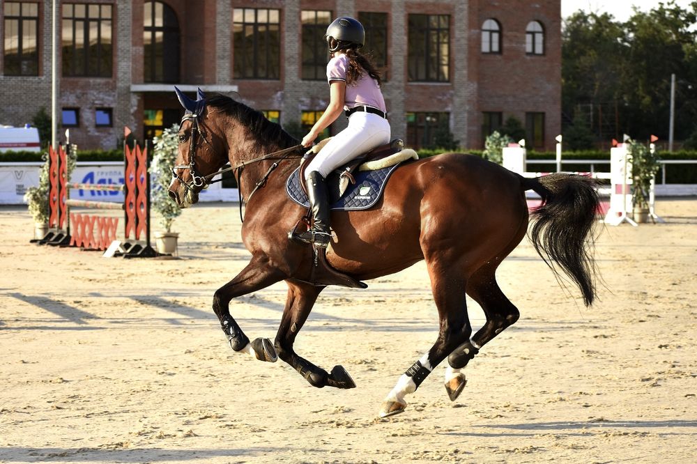 Photograph by Елизавета