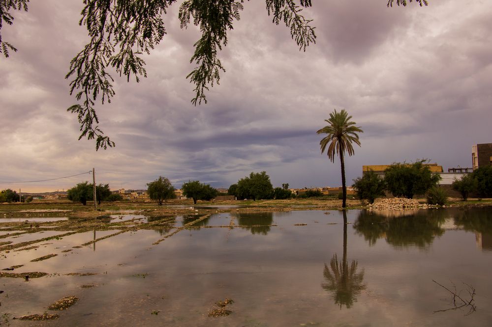 Photograph by نرگس لیمویی