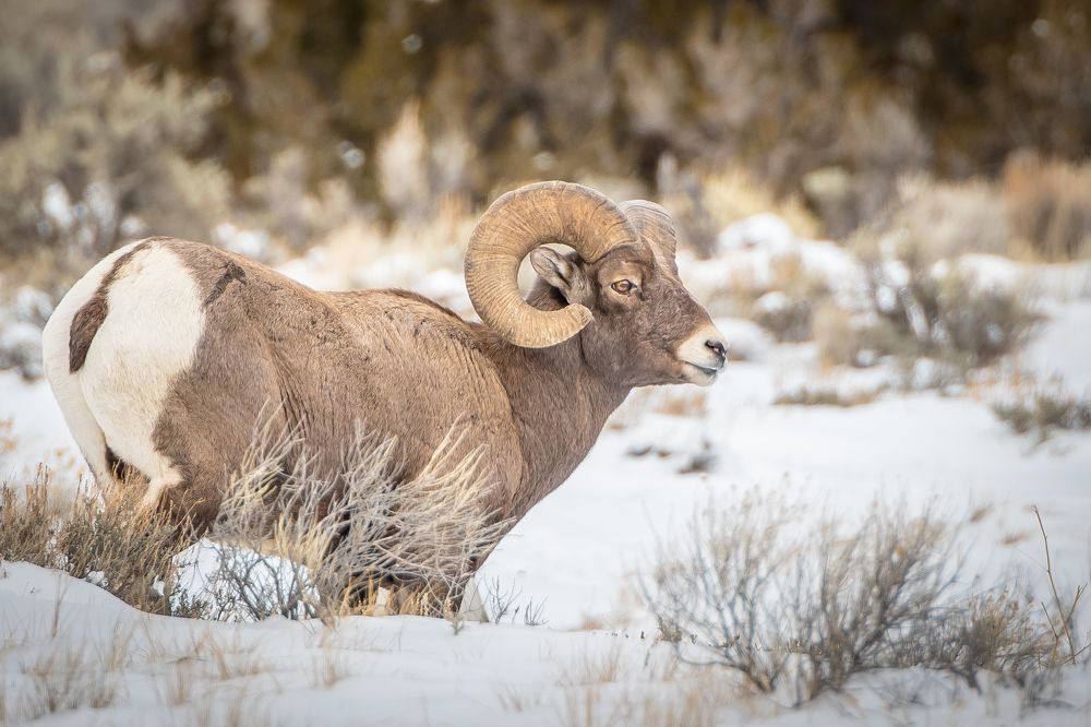 Photograph by Tony Douzenis