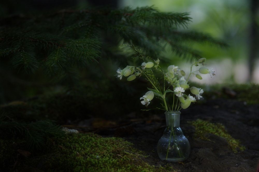 Photograph by Елена Ласун