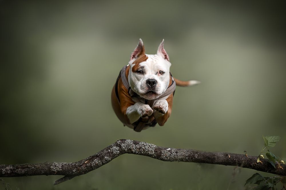 Photograph by Виталий Черняховский