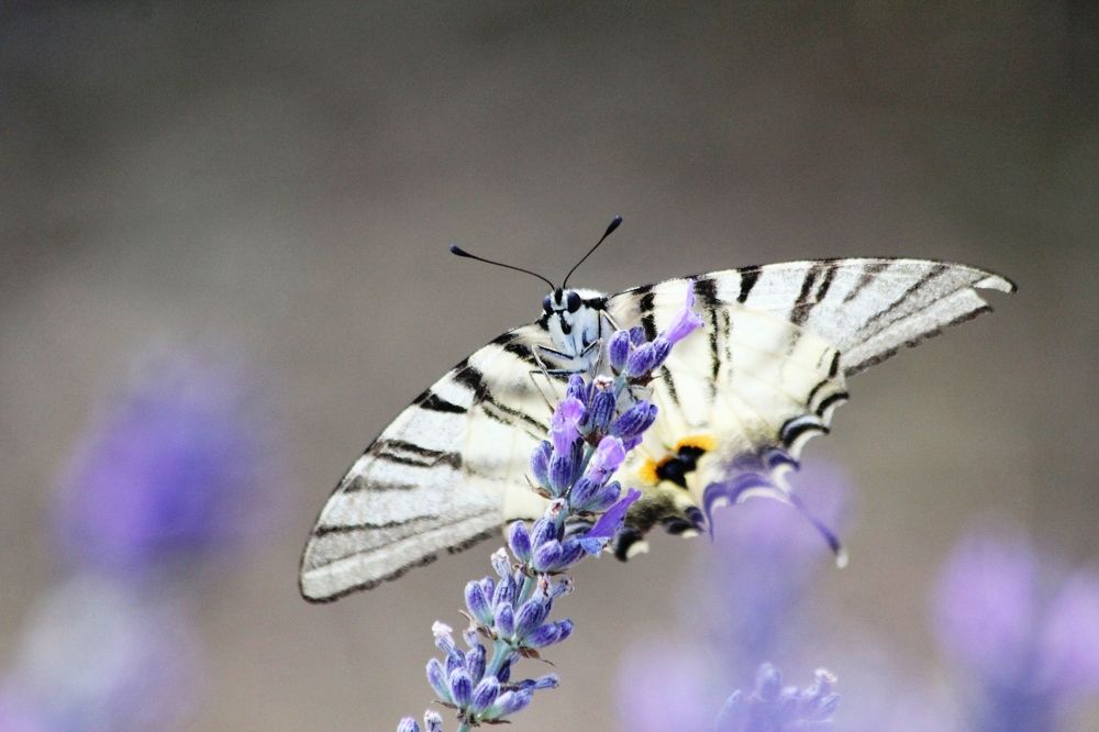 Photograph by Nadzeya