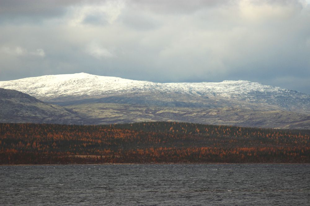 Photograph by Виктория Браун