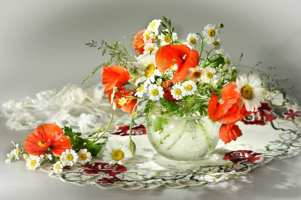 Photograph by Шруб (Беляева) Татьяна