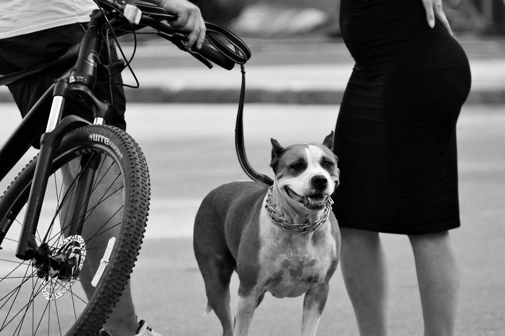 Photograph by Олександр Розум