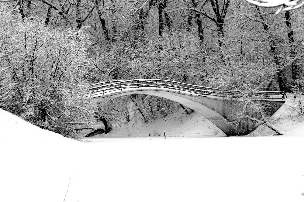 Photograph by Ольга Антипова