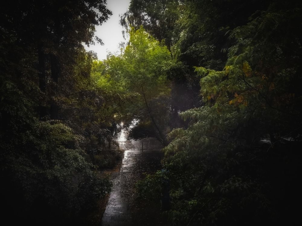 Photograph by Koloskova Mariya