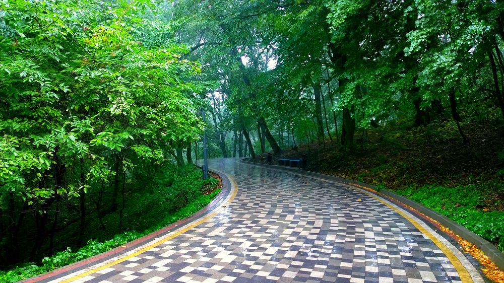 Photograph by Вадим