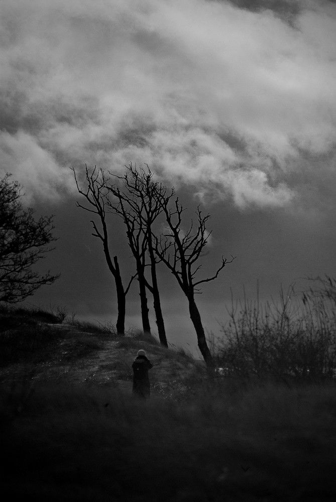 Photograph by Виктория Уварова