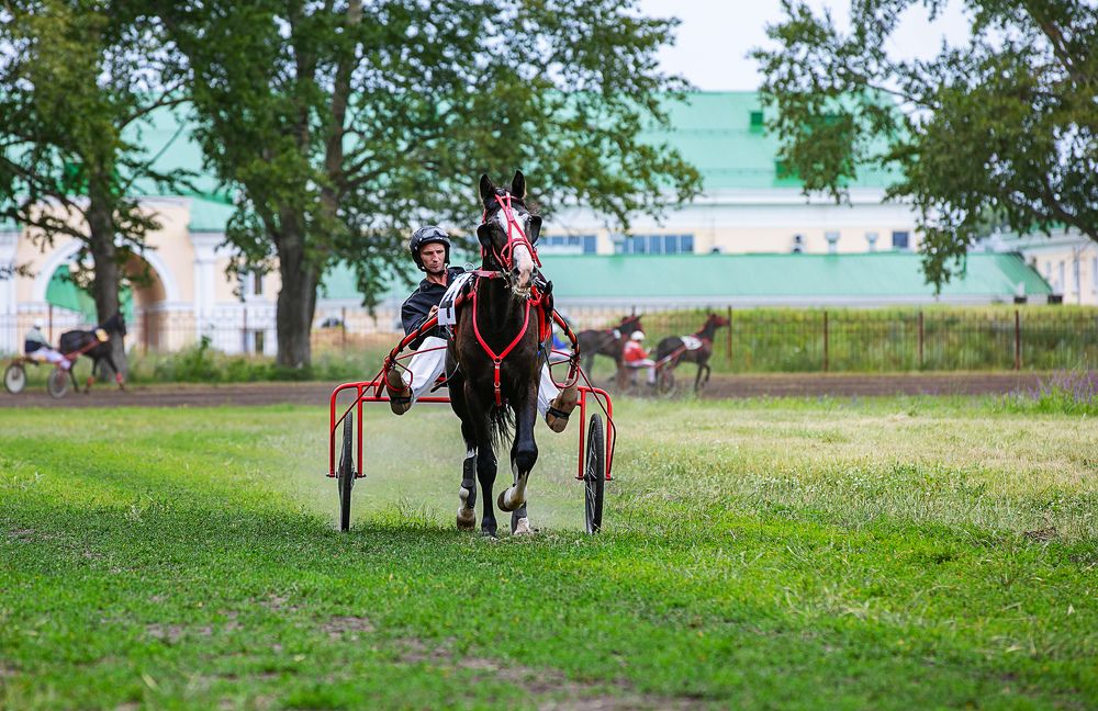 Photograph by Михаил Фенелонов