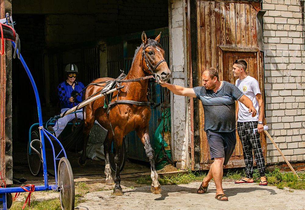 Photograph by Михаил Фенелонов