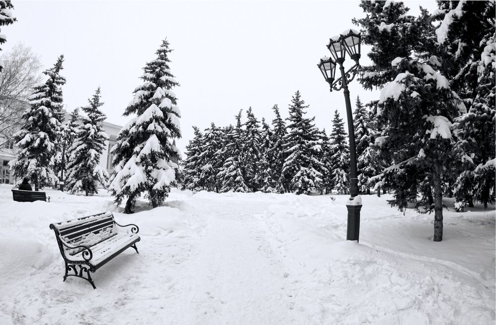 Фотография автора Валерий Цуркан