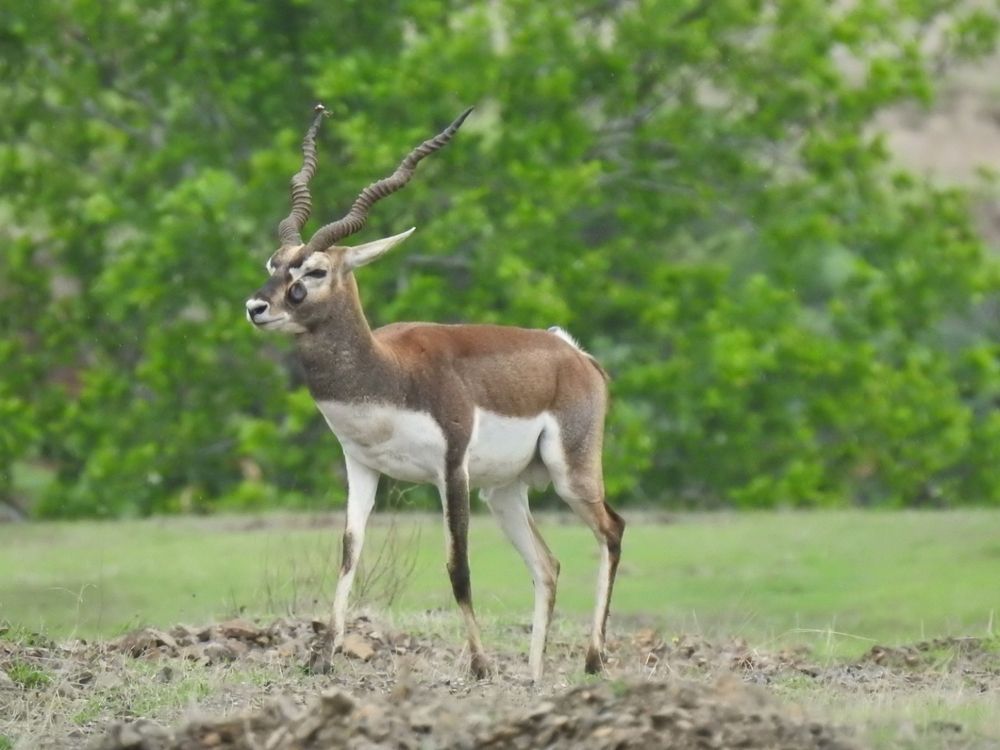 Photograph by Bhairawnath wakale