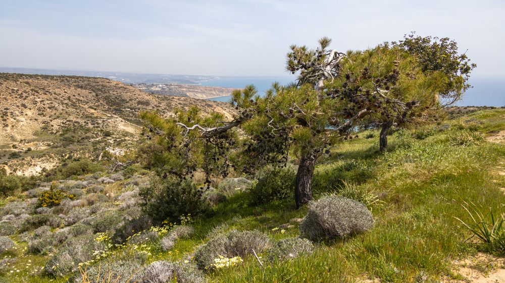 Photograph by Игорь Калинин