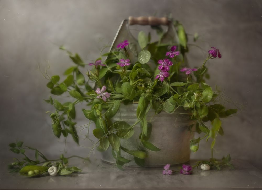 Photograph by Andreeva Svoboda