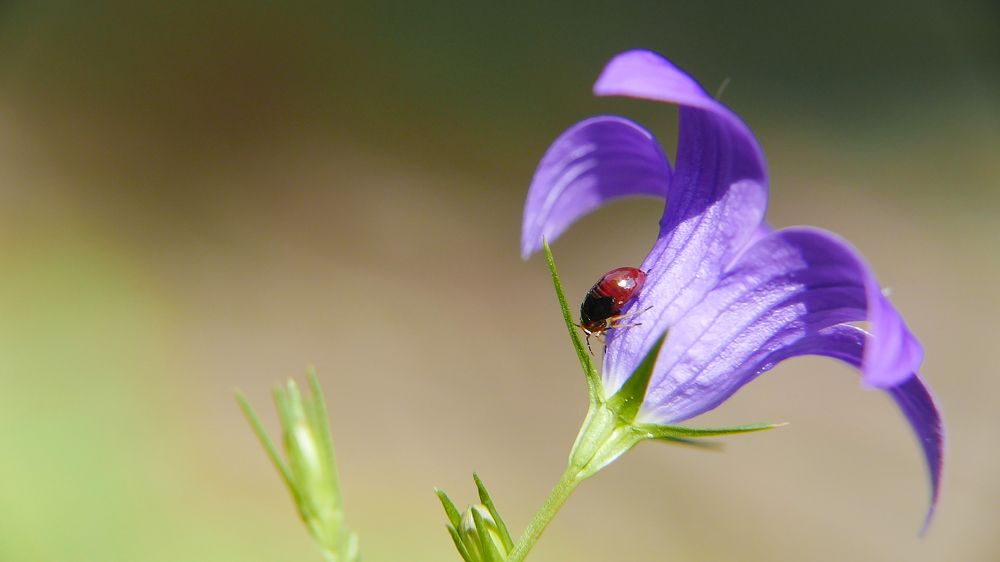 Photograph by Алексей Чернов