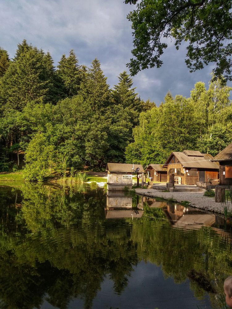 Photograph by Людмила