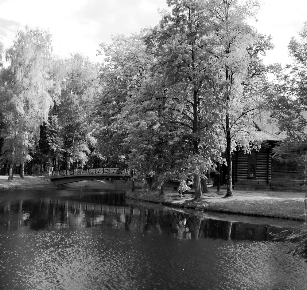 Photograph by Litvinova Ann