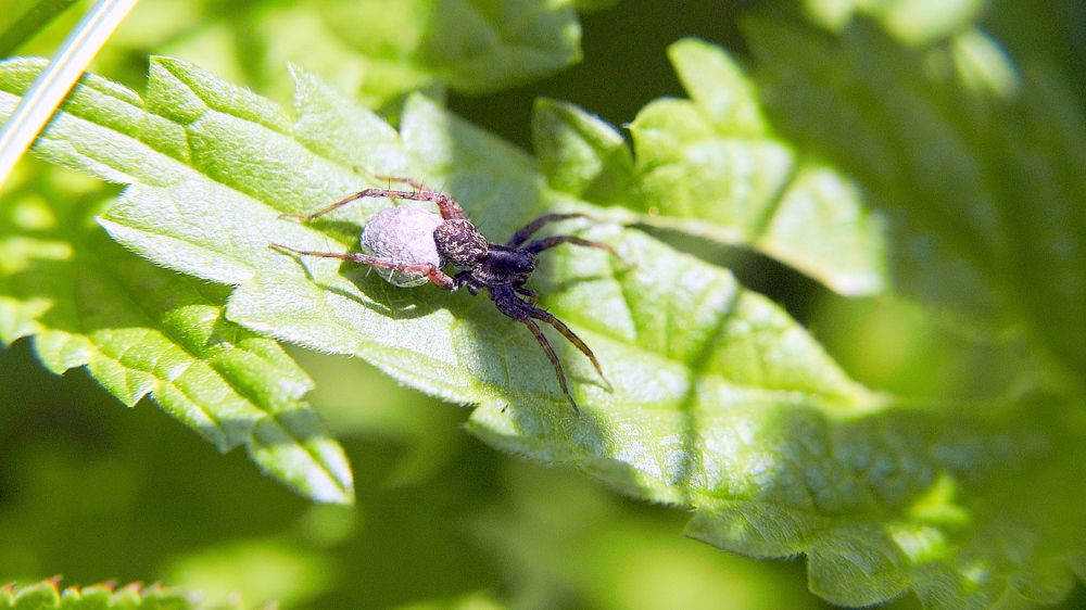 Photograph by Алексей Чернов